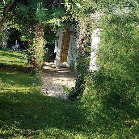 Ferienhaus In Mit Grossem Garten