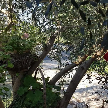 Σπίτι διακοπών Ferienhaus In Mit Grossem Garten Banjole