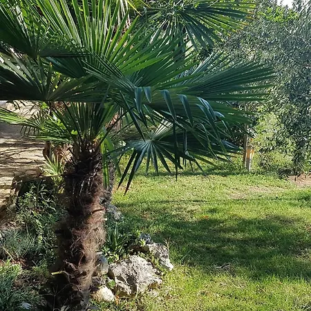 Ferienhaus In Mit Grossem Garten Σπίτι διακοπών *